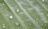 32raindrops6738