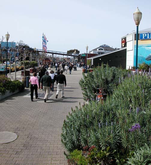 022pier396881