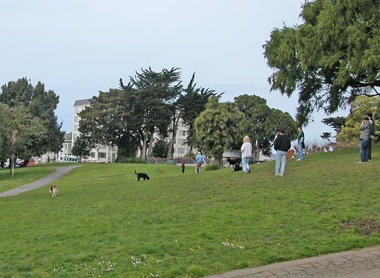084dogpark6969