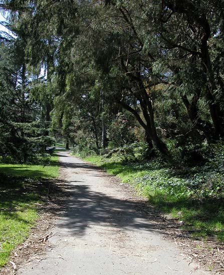109ggpark7016
