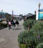 022pier396881