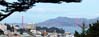 037ggbridge6899