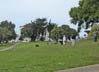 084dogpark6969