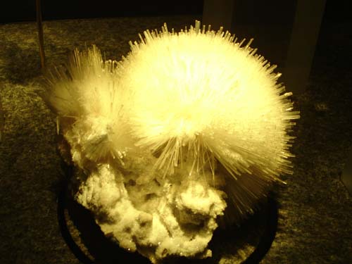 11fieldmus0705