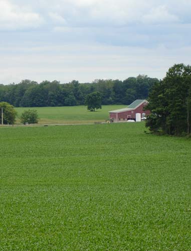 18farmwak0929