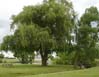 18amishpond0932