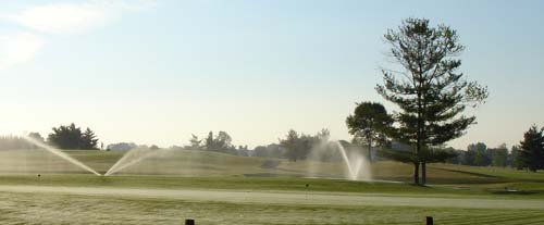 20sprinklers0980