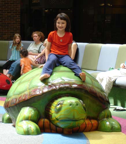 23turtle1072