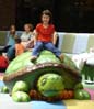 23turtle1072