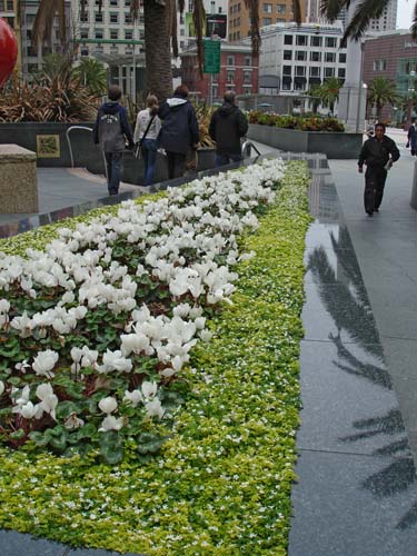 21unsqflowers00202