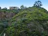 17houseuphigh0074