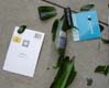 21storyonthesidewalk00191