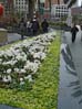 21unsqflowers00202