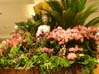 23flowers00228