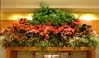 23flowers00229