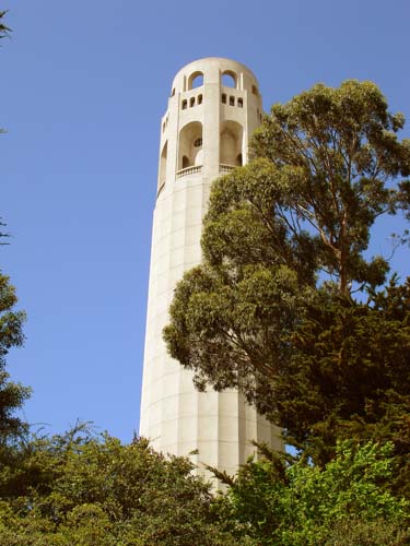 24coit00255