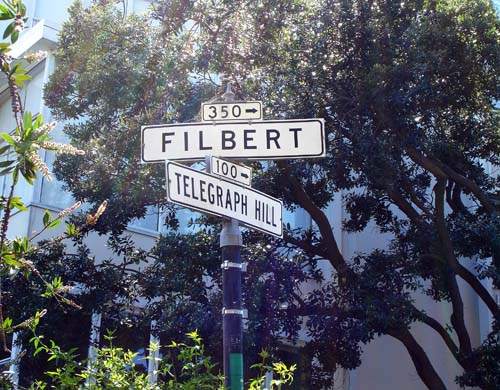 24filberttelegraph00256