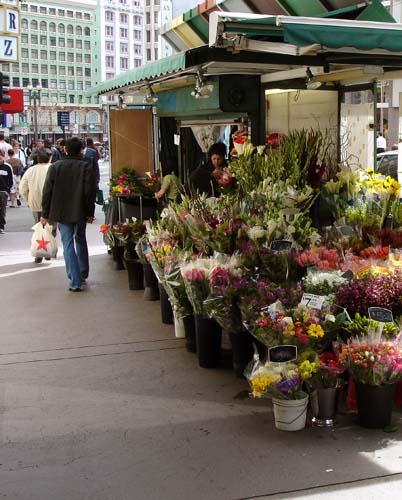 25flowervendor00296