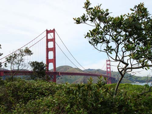 26ggbridge00321