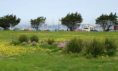 26marinagreen00304
