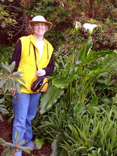 28jnecalla00394