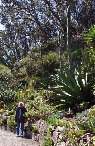 28michaelagave00365