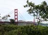 26ggbridge00321
