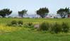 26marinagreen00304