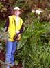 28jnecalla00394