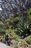 28michaelagave00365