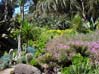 28succulents00366