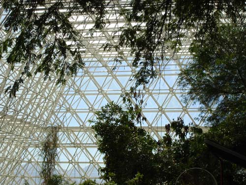 rainforest2417