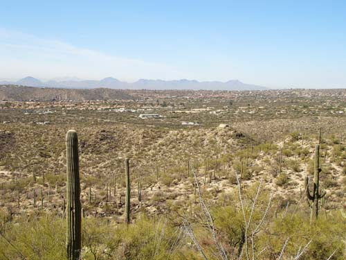 desert2434