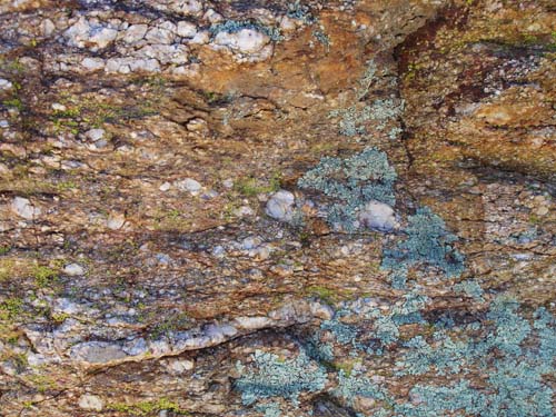 mossyrock2482