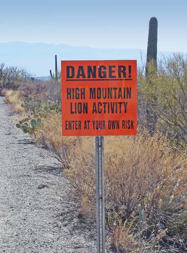 mountainlions2433