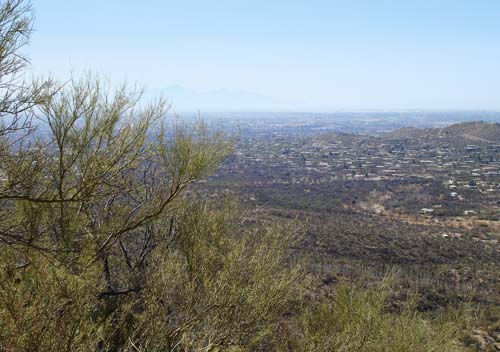 view2435