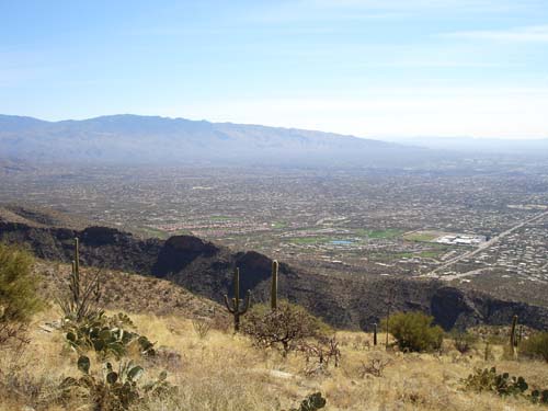 view2461