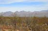 214catalinas2495