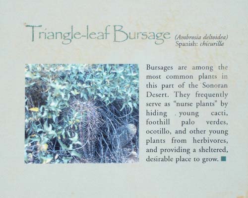 trbursagesign'2524