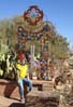 jnetubac2260