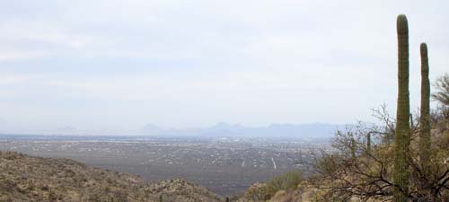 view2308