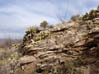 cactirocks2290