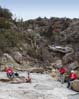 hardlyhikin2281