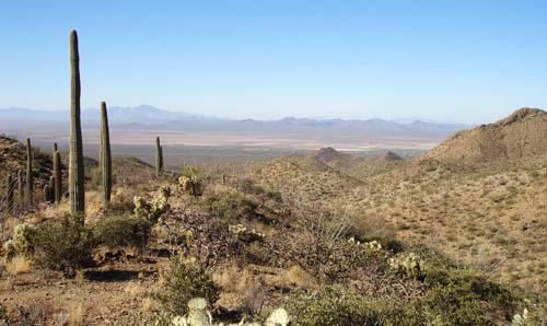 tucsonmtns02317
