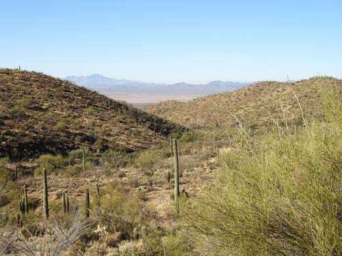 tucsonmtns2314