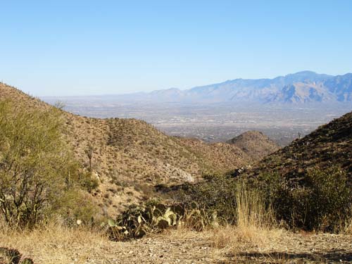 tucsonmtns2318