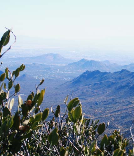 tucsonmtns2334