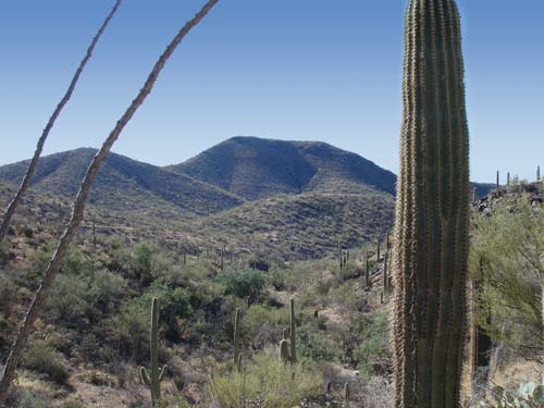tucsonmts2316