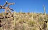 tucsonmtns2315