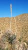 tucsonmtns2319